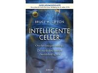 Bogen Intelligente celler